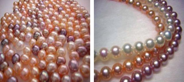 Global B2B directory Global trade lead