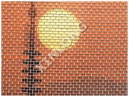 Global B2B directory Global trade lead