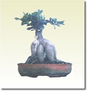 Global B2B directory Global trade lead