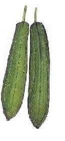 Global B2B directory Global trade lead