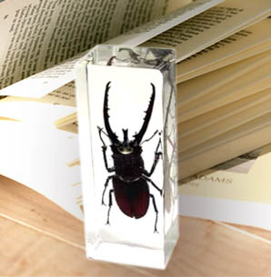 Global B2B directory Global trade lead